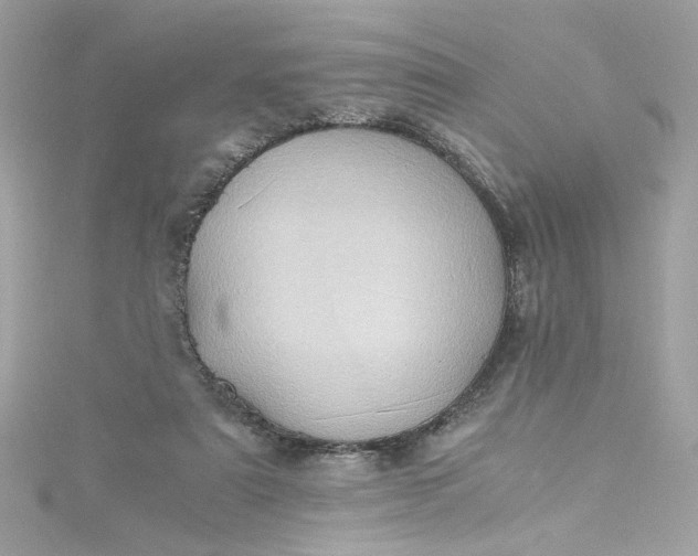 X0000115560307200911201828