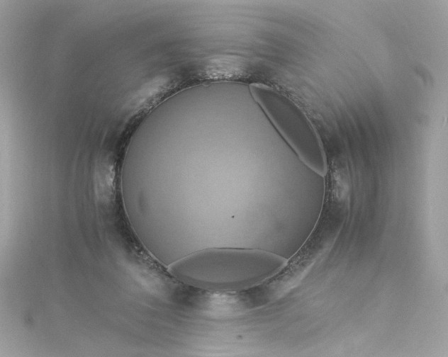 X0000115560308200911201828