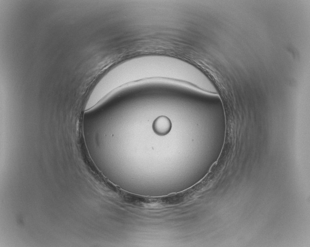 X0000115560309200911201828