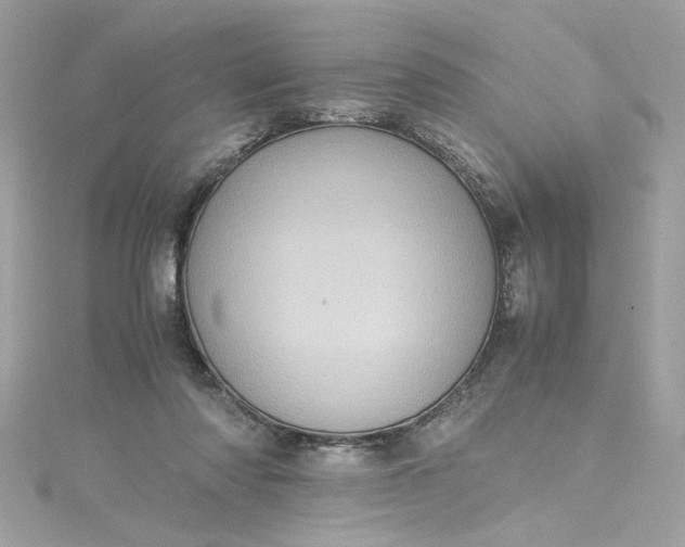 X0000115560310200911201828