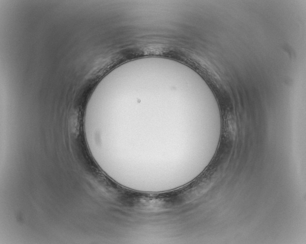 X0000115560311200911201828