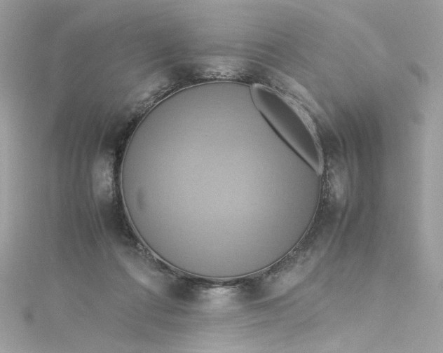 X0000115560312200911201828