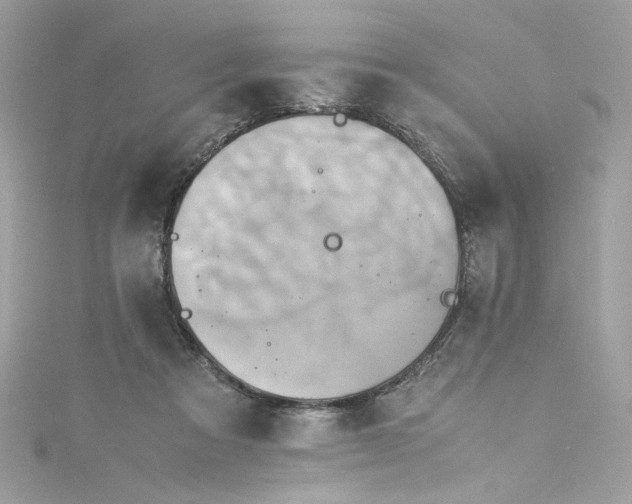 X0000115560313200911201828