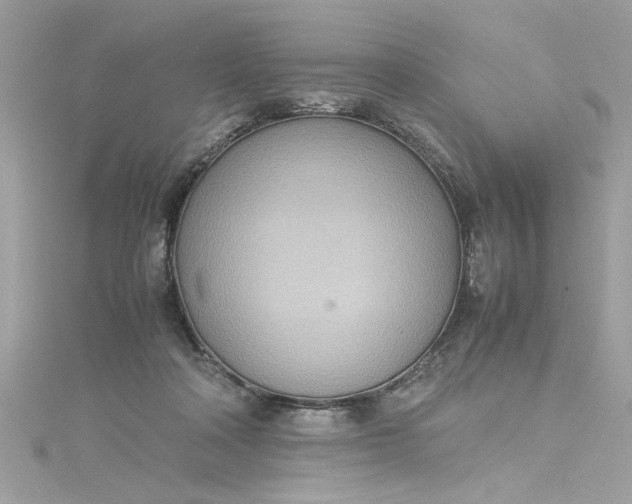 X0000115560314200911201828