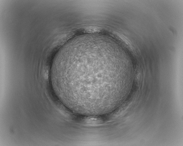 X0000115560315200911201828