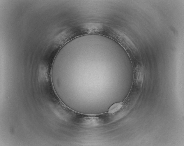 X0000115560316200911201828