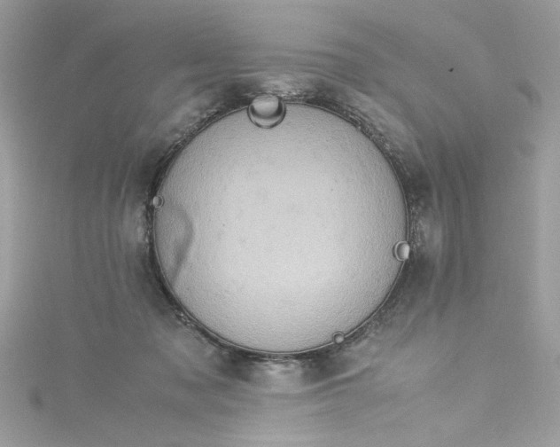 X0000115560317200911201828