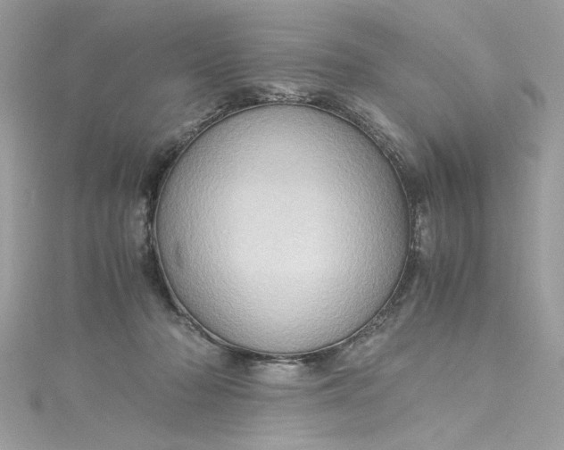 X0000115560318200911201828