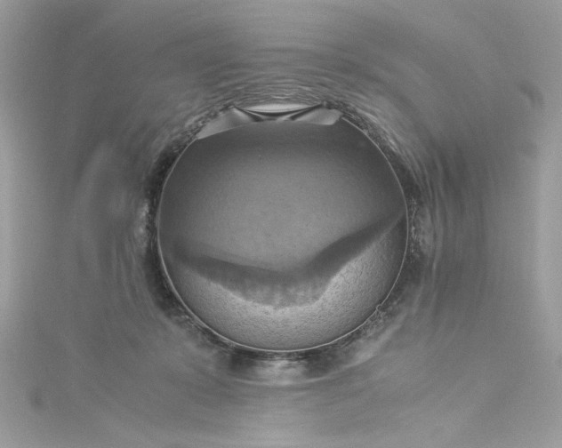 X0000115560319200911201828