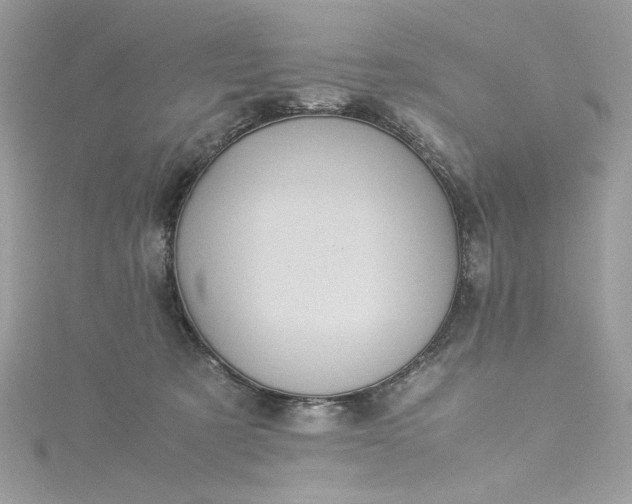 X0000115560321200911201828