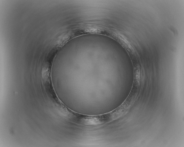 X0000115560322200911201828