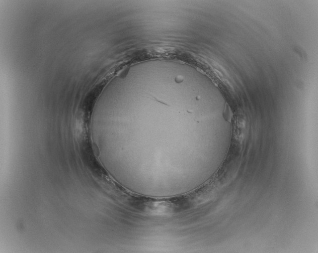 X0000115560324200911201828