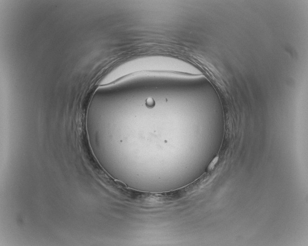 X0000115560325200911201828