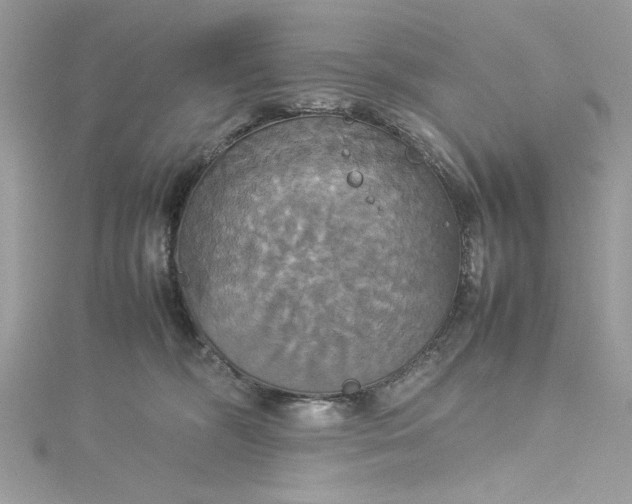 X0000115560326200911201828