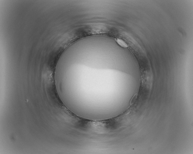 X0000115560327200911201828