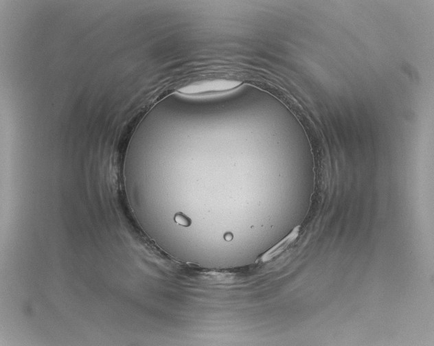 X0000115560328200911201827