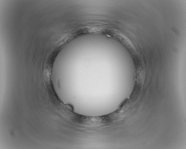 X0000115560329200911201827