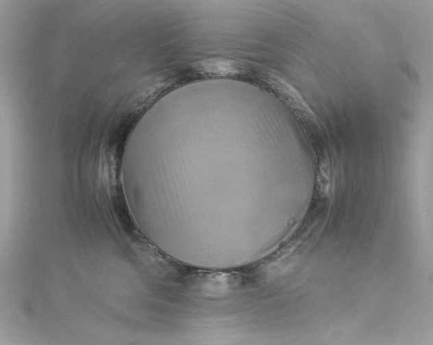 X0000115560330200911201827