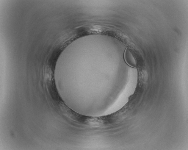 X0000115560331200911201827