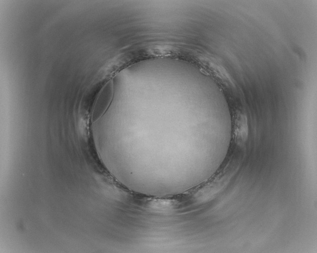 X0000115560332200911201827