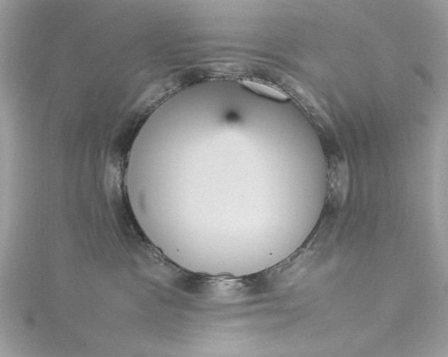 X0000115560333200911201827