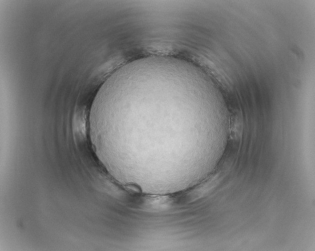 X0000115560334200911201827