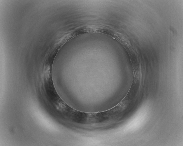 X0000115560335200911201827