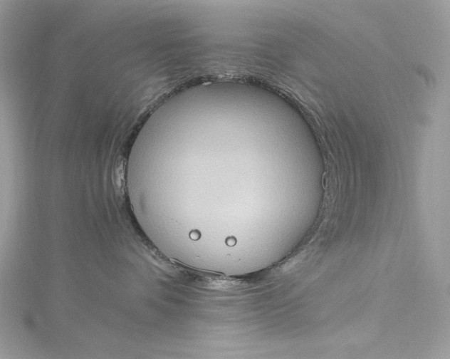 X0000115560336200911201827