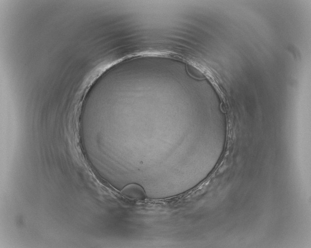 X0000115560337200911201827