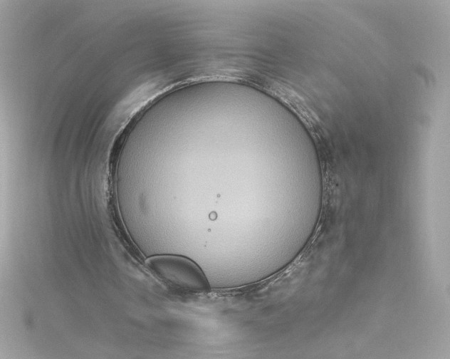 X0000115560338200911201827