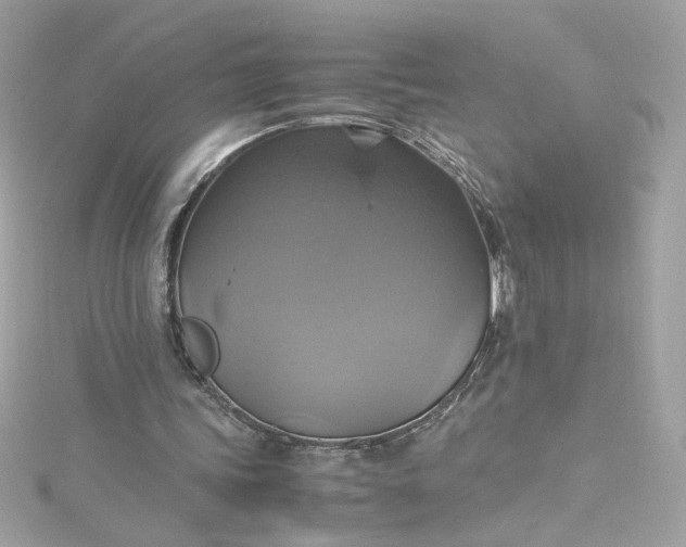 X0000115560339200911201827