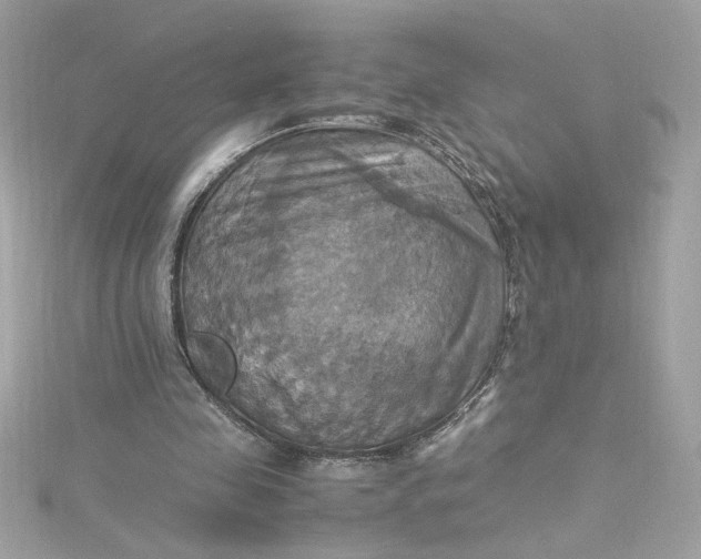 X0000115560341200911201827