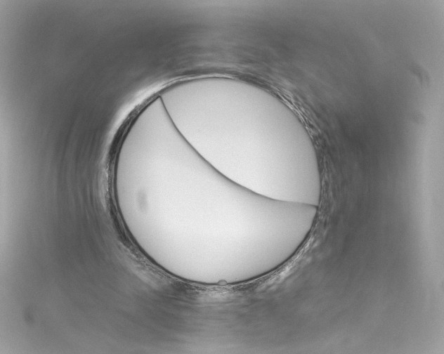 X0000115560342200911201827