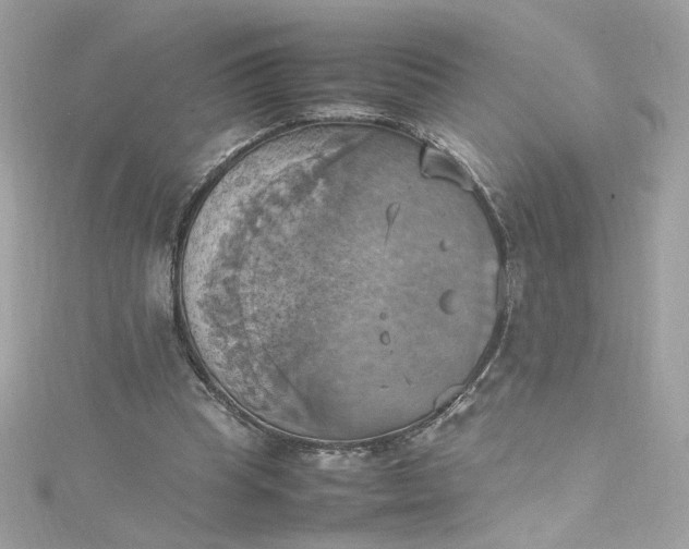 X0000115560345200911201827