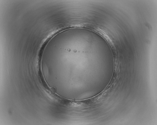 X0000115560346200911201827