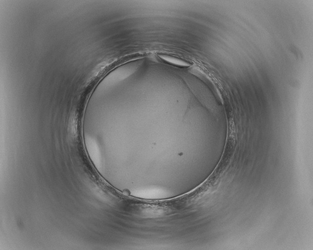 X0000115560347200911201827