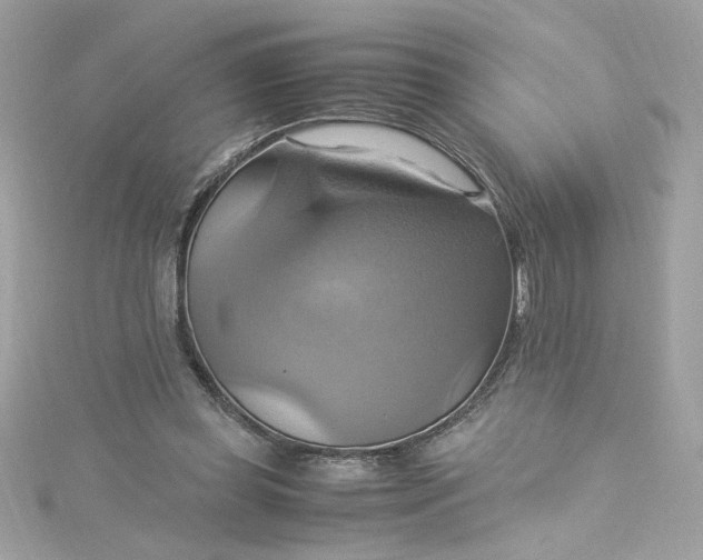 X0000115560349200911201827