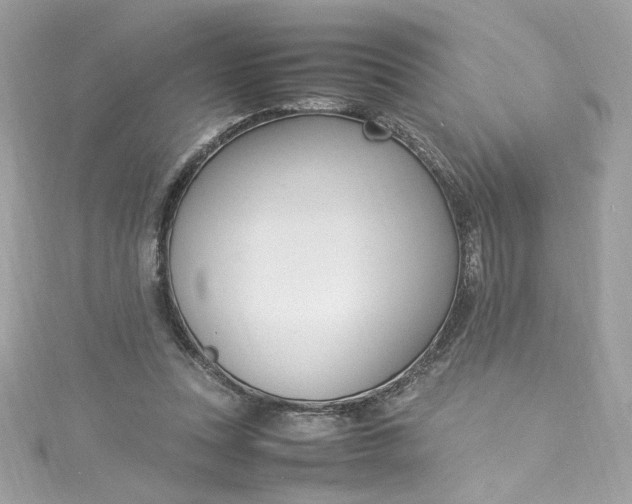 X0000115560351200911201827