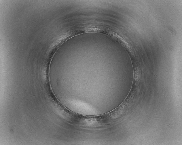 X0000115560353200911201827