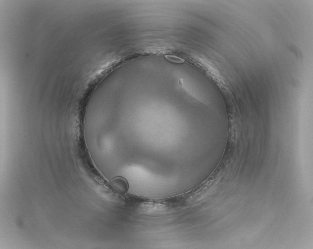 X0000115560354200911201827