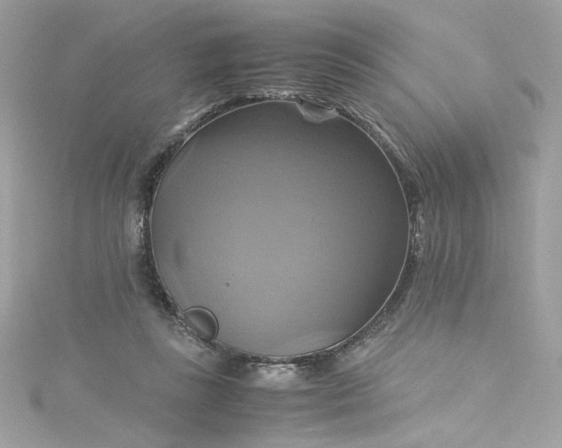 X0000115560355200911201827