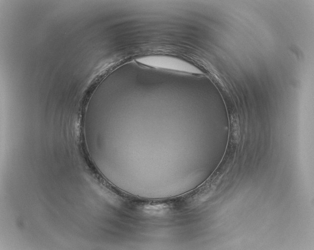 X0000115560357200911201827