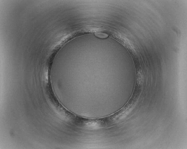 X0000115560358200911201827