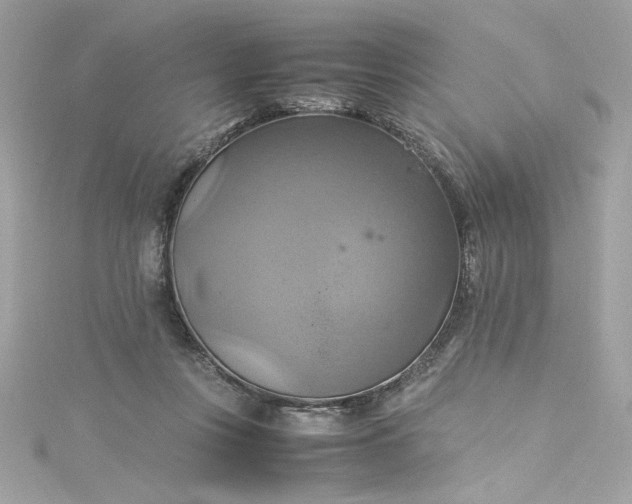 X0000115560359200911201827