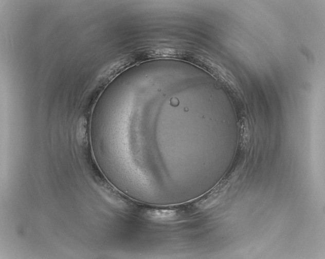 X0000115560361200911201827