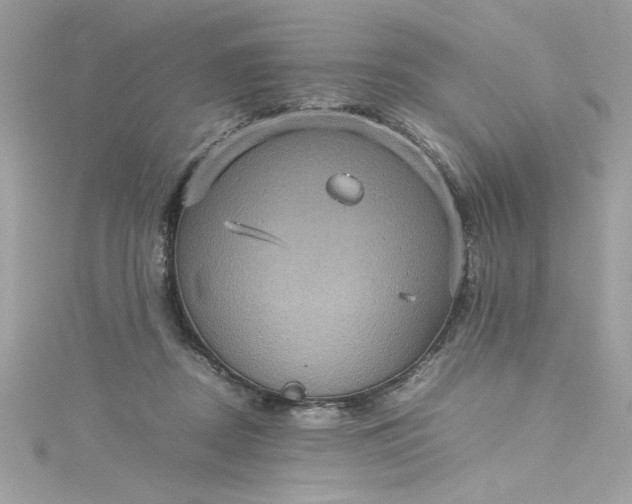 X0000115560362200911201827