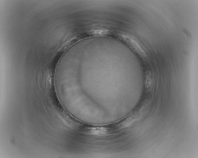 X0000115560363200911201827