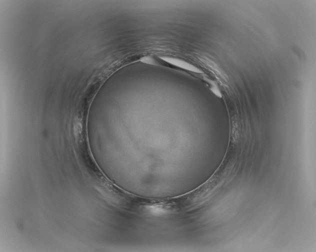 X0000115560365200911201827