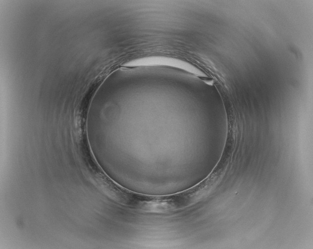 X0000115560366200911201827