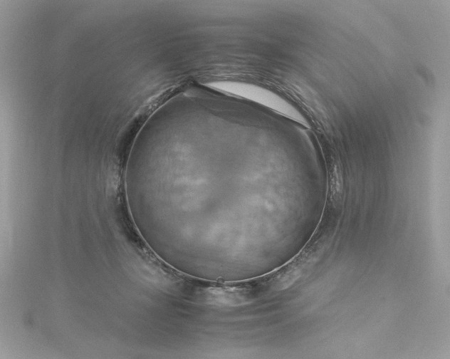 X0000115560367200911201827